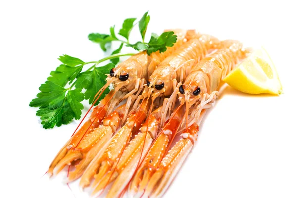 Färska scampi — Stockfoto