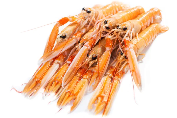 新鲜 scampi — 图库照片