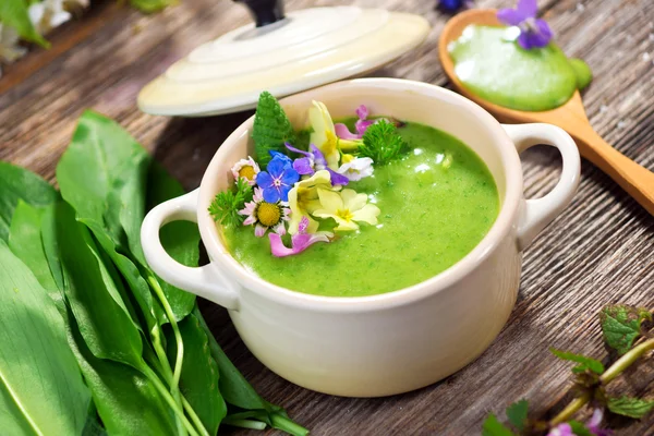 Spring soup — Stock Photo, Image