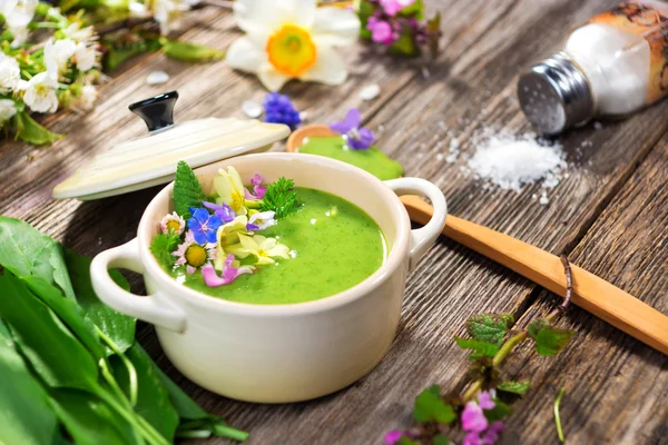 Spring soup — Stock Photo, Image