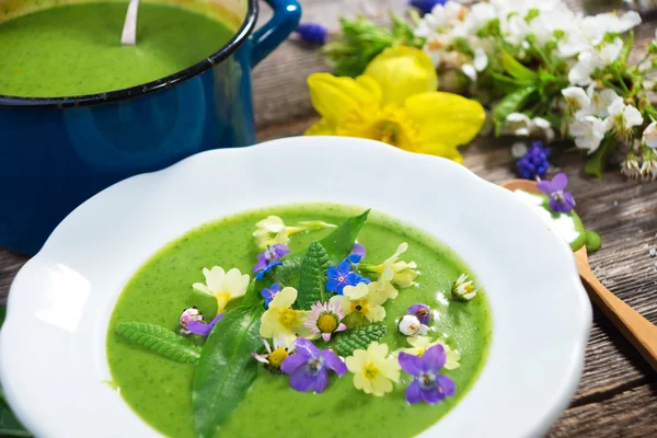 春のスープ — ストック写真