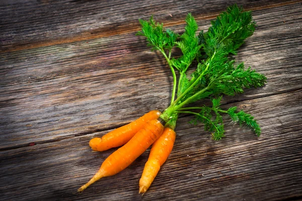 Zanahorias ecológicas — Foto de Stock