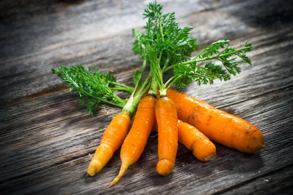 Zanahorias ecológicas — Foto de Stock