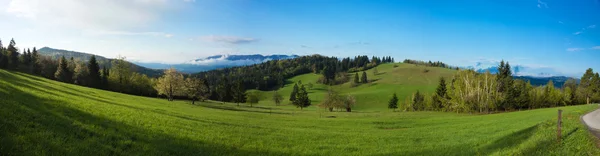 Schöne Wiese — Stockfoto