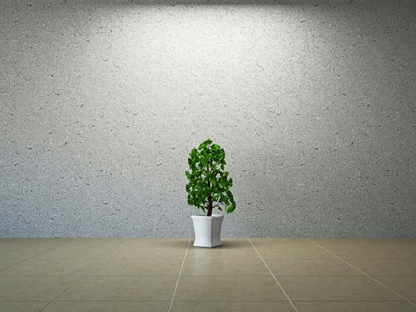 Room with plant — Stock Photo, Image