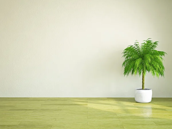 Planta perto da parede — Fotografia de Stock