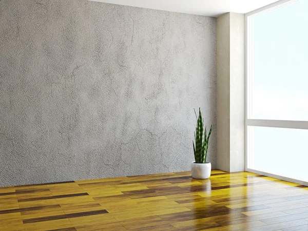 Room with a plant — Stock Photo, Image
