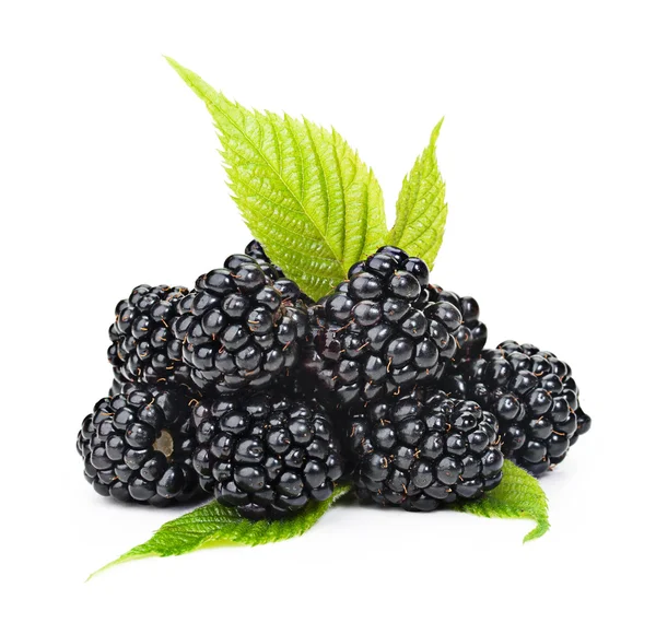 Blackberries with green leaves isolated on white background. — Stock Photo, Image