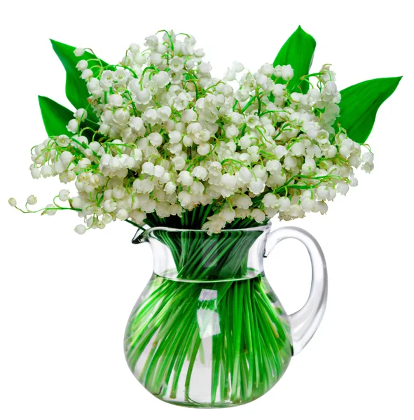 Fresh lilies of the valley in a glass jar isolated on white back — Stock Photo, Image