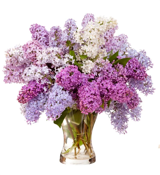 Lilacs in a glass vase — Stock Photo, Image