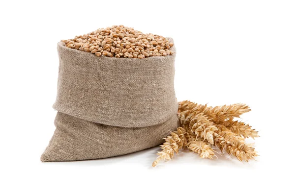 Wheat ears in the bag and isolated on white — Stock Photo, Image