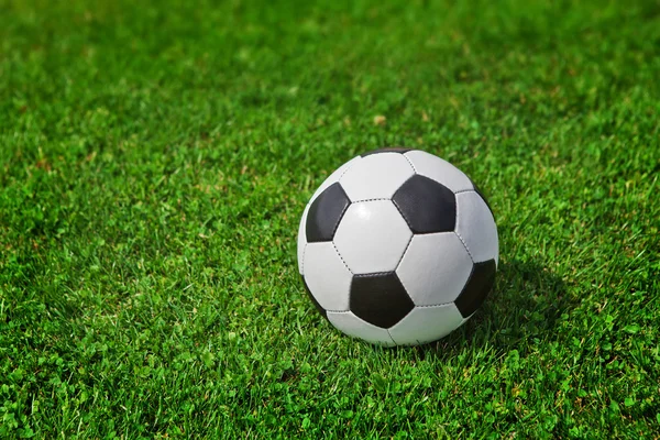 New soccer ball on green grass — Stock Photo, Image