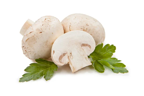 Fresh mushrooms and green parsley leaves isolated on white backg — Stock Photo, Image