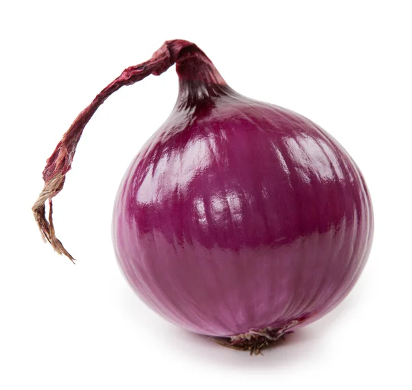 Fresh violet onion isolated on white background — Stock Photo, Image