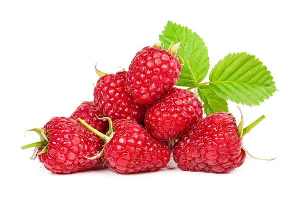 Raspberries isolated on white background — Stock Photo, Image