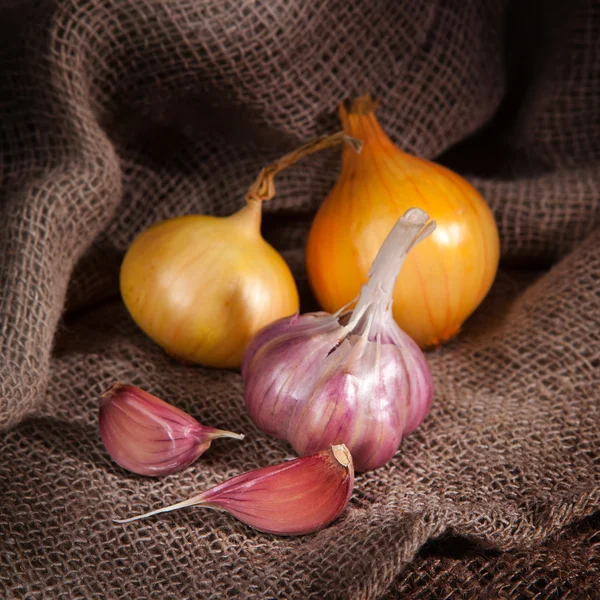 Gewürze auf dem Tuch auf dem Tisch. Zwiebeln und Knoblauch. — Stockfoto