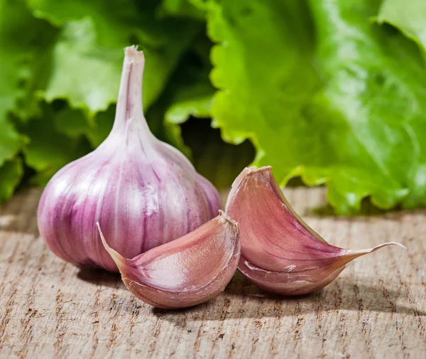 Garlic on a table on a background of green leaf lettuce — Stock Photo, Image