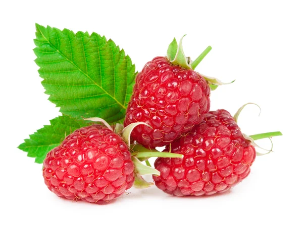 Raspberries isolated on white background Royalty Free Stock Images