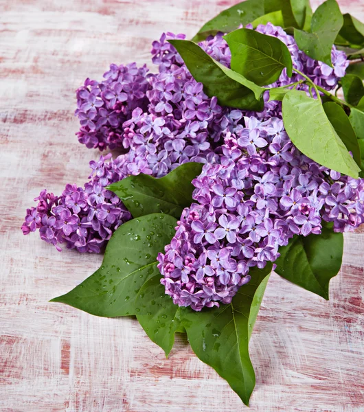Flowers lilac on the old boards — Stock Image Flowers lilac on the old boards Stock Photo