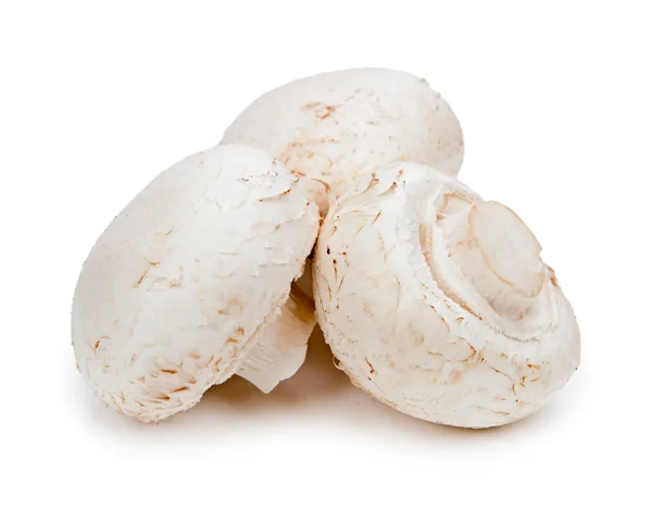 Fresh button mushrooms — Stock Photo, Image