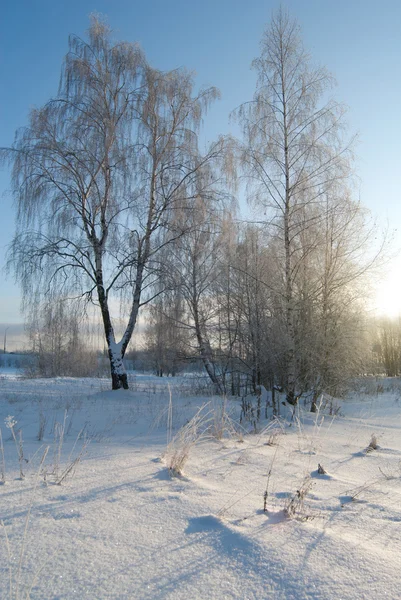 Winterlandschaft mit Schnee — Stockfoto