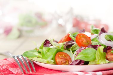 karışık salata kâsesi