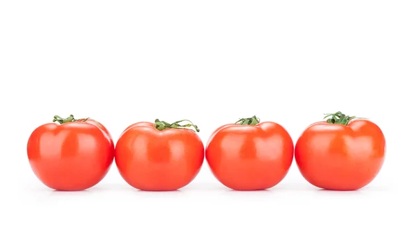 Tomaten — Stockfoto