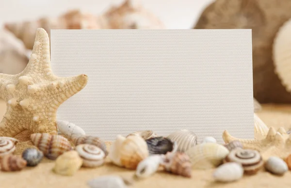 Arena en la playa y conchas marinas. concepto de vacaciones — Foto de Stock