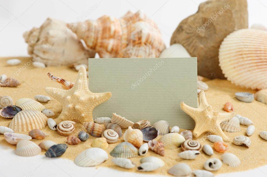 Holiday greeting card with shells and place for text