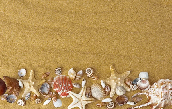 Starfish and seashells on the beach — Stock Photo, Image