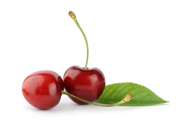 Ripe cherry berries with green leaf — Stock Photo, Image