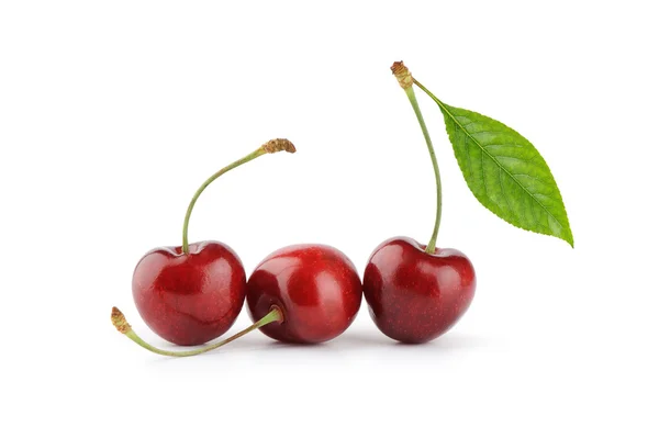 Sweet ripe cherry with leaf — Stock Photo, Image