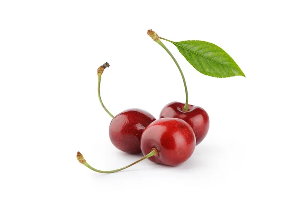 Zralé červené cherry bobule s listy — Stock fotografie