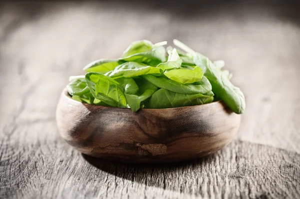 Spinach — Stock Photo, Image