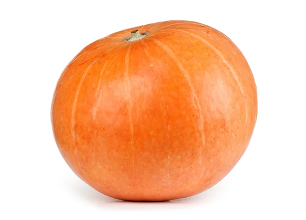 Verse oranje pompoen geïsoleerd op witte achtergrond — Stockfoto