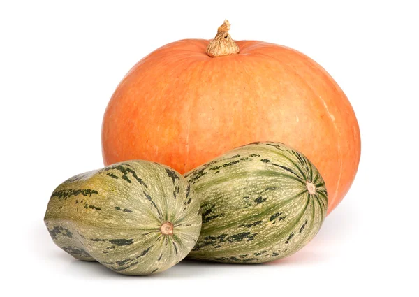 Citrouille et courge isolées sur fond blanc — Photo