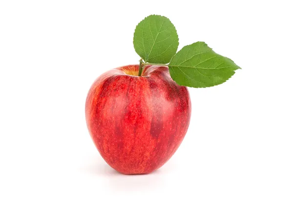 Roter Apfel isoliert — Stockfoto