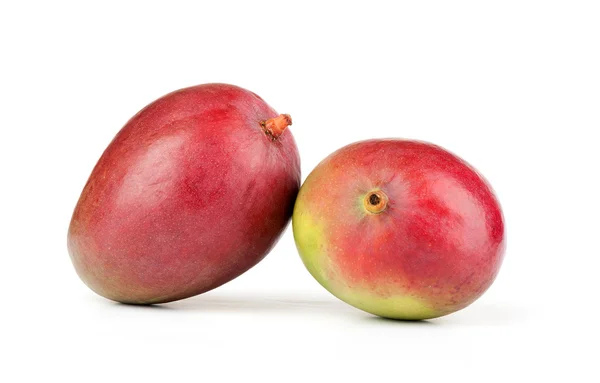 Mango — Stock Photo, Image