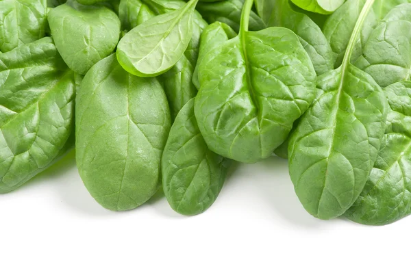 Fresh leaves of spinach — Stock Photo, Image