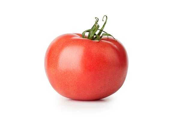 Un tomate rojo fresco — Foto de Stock