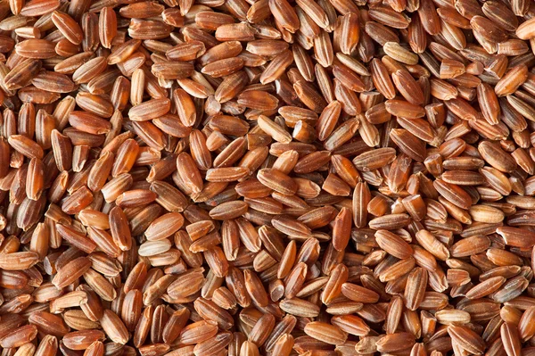 Red rice — Stock Photo, Image