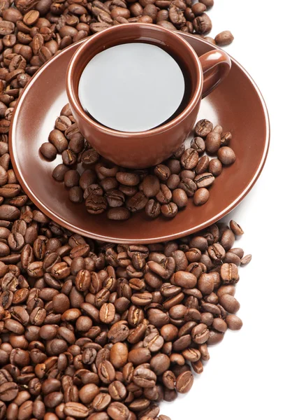 Coffee beans and cup — Stock Photo, Image