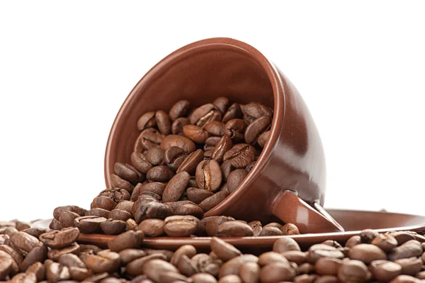 Coffee cup and beans on a white background — Stock Photo, Image