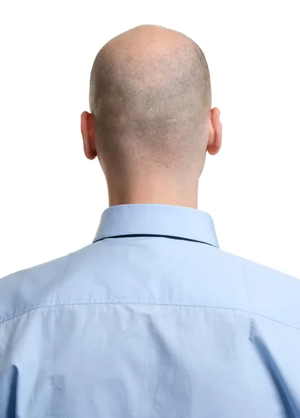 Adult man bald head rear view Stock Image