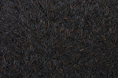 Dry black wild rice texture background. top view
