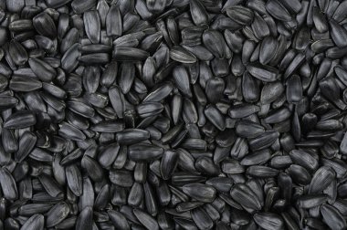 Black sunflower seeds texture and background