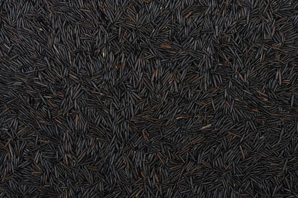 Dry Black Wild Rice Texture Background Top View — Fotografia de Stock