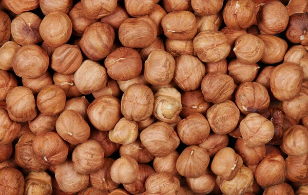 Heap Peeled Hazelnuts Nuts Background Texture — Stock Photo, Image