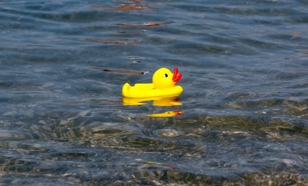Sarı lastik ördek oyuncak Denizi — Stok fotoğraf