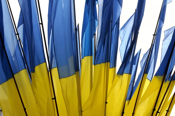 Bendera nasional Ukraina, latar belakang — Stok Foto